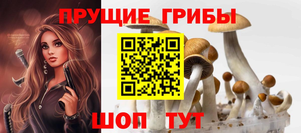 Галлюциногенные грибы прущие грибы Дюртюли